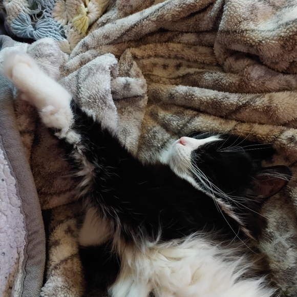 Lazy TV day๐๐บ ๐ - Picture 11 of 16